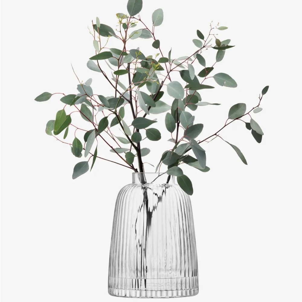 LSA pleated glass case. Brand new. 20 cm. Clear.